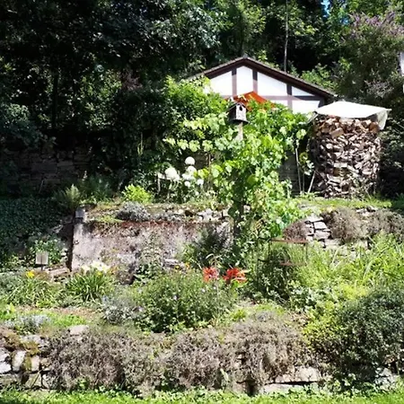 Eine Gemütliche Mit Garten