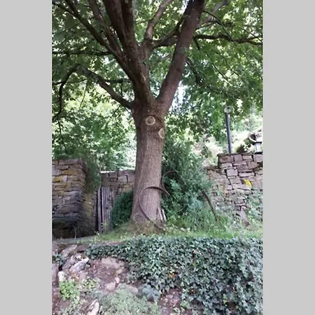 Eine Gemuetliche Mit Garten Apartment Bad Karlshafen