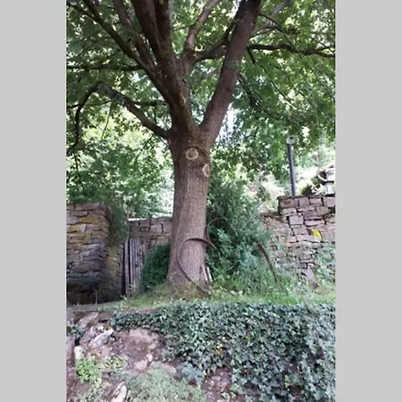 Eine Gemütliche Mit Garten Apartamento Bad Karlshafen