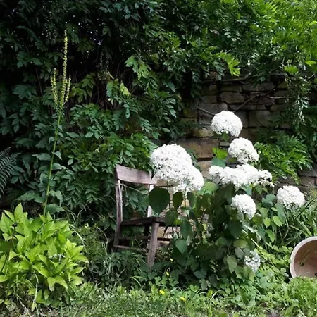 Apartamento Eine Gemütliche Mit Garten