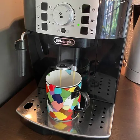 Apartamento Eine Gemütliche Mit Garten