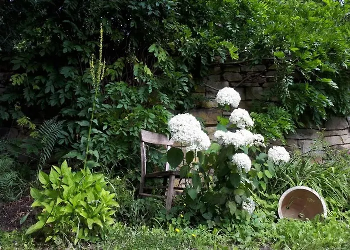 Daire Eine Gemuetliche Mit Garten