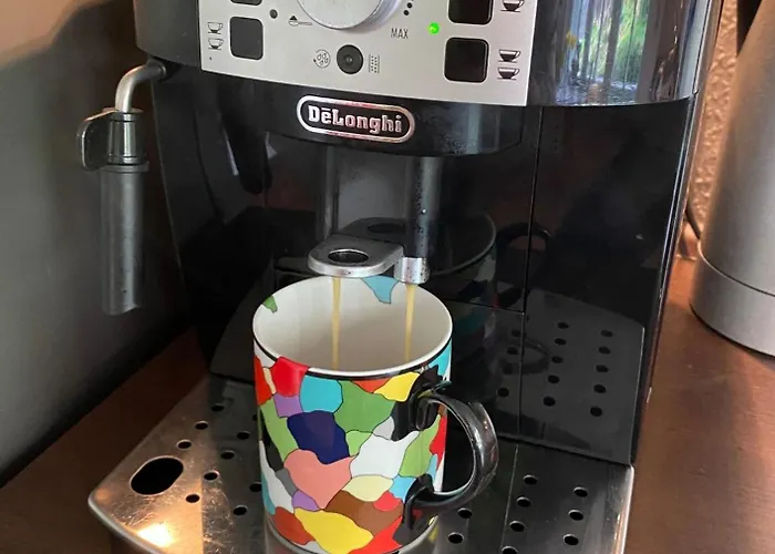 Daire Eine Gemuetliche Mit Garten